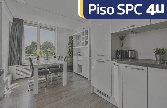 Kitchen and the dining room of a modern apartment