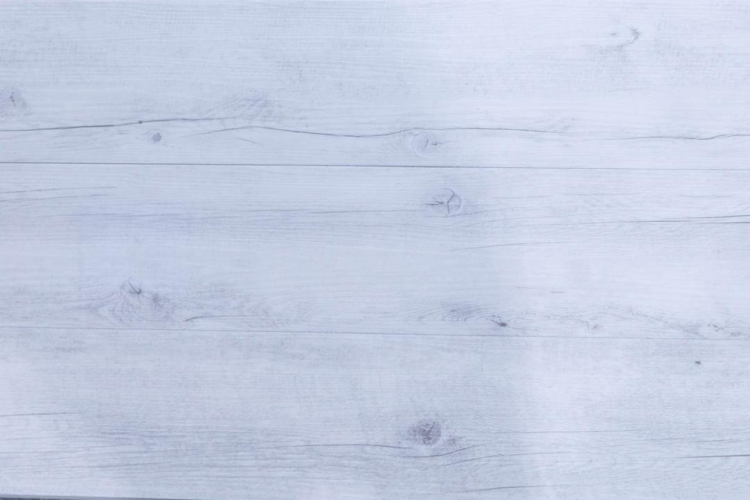 Vega - Imagen 3